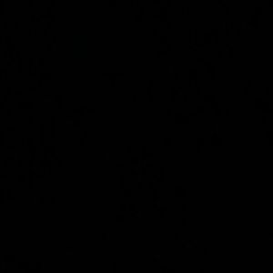 Meet your Posher, Adriana